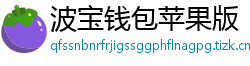 波宝钱包苹果版